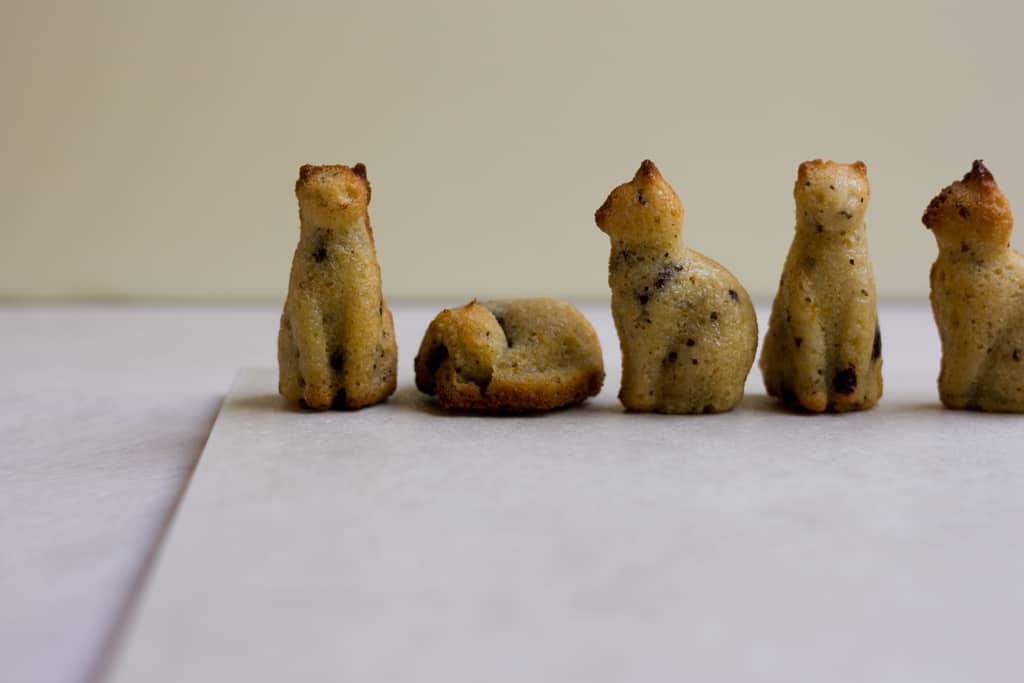 chocolate speckled jasmine financiers | jessica's dinner party